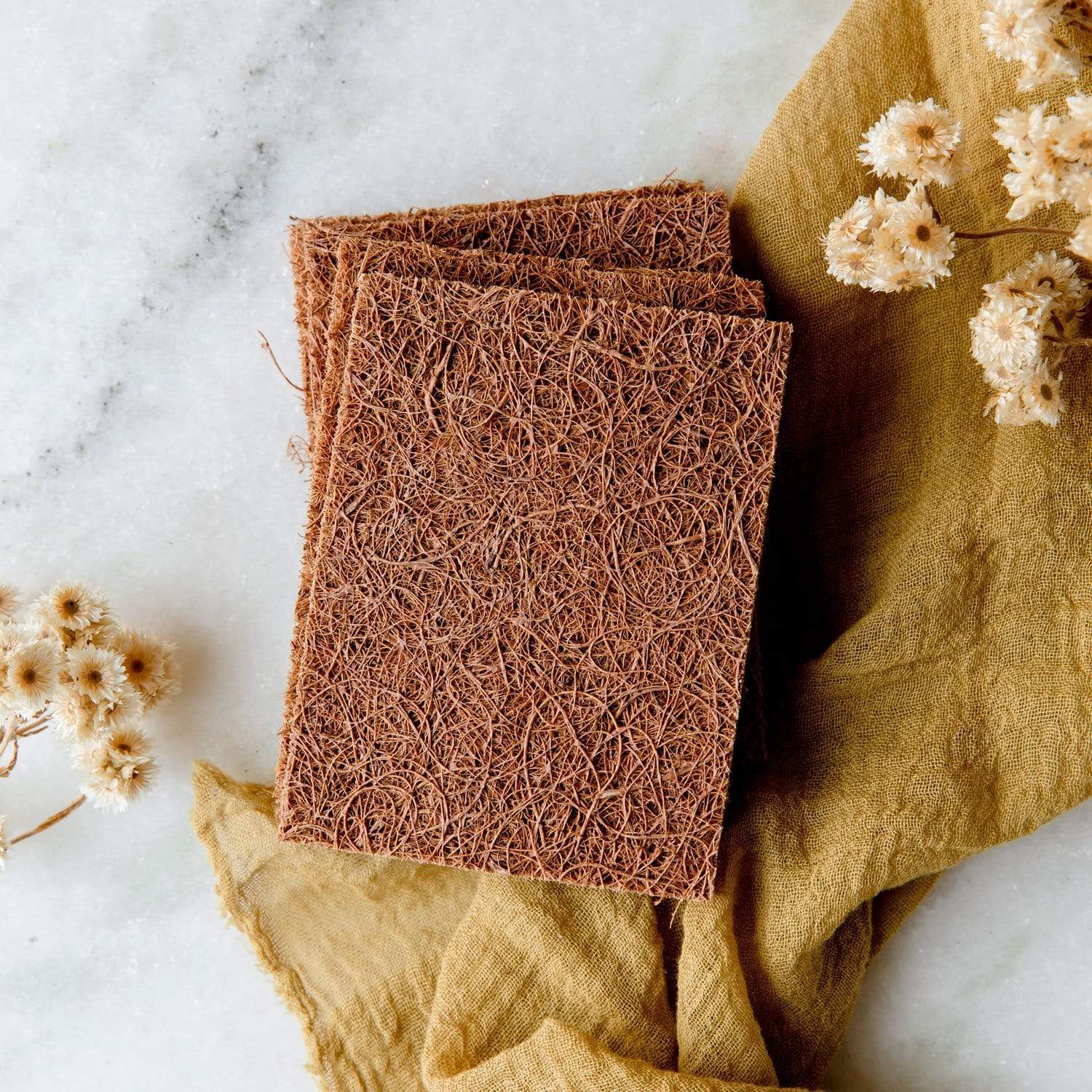 Coconut Kitchen Scrubber - Image 3