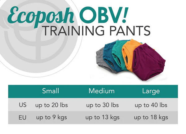 Ecoposh OBV Training Pants - Glacier - Image 3