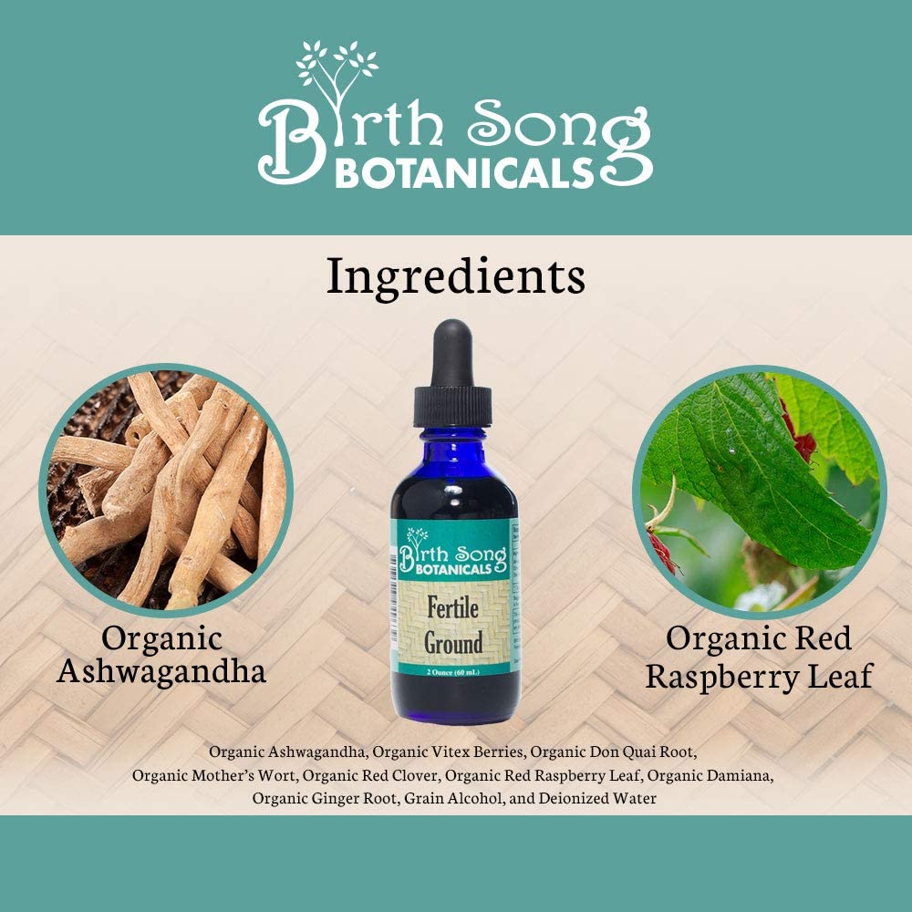Fertile Ground Herbal Tincture - Image 4