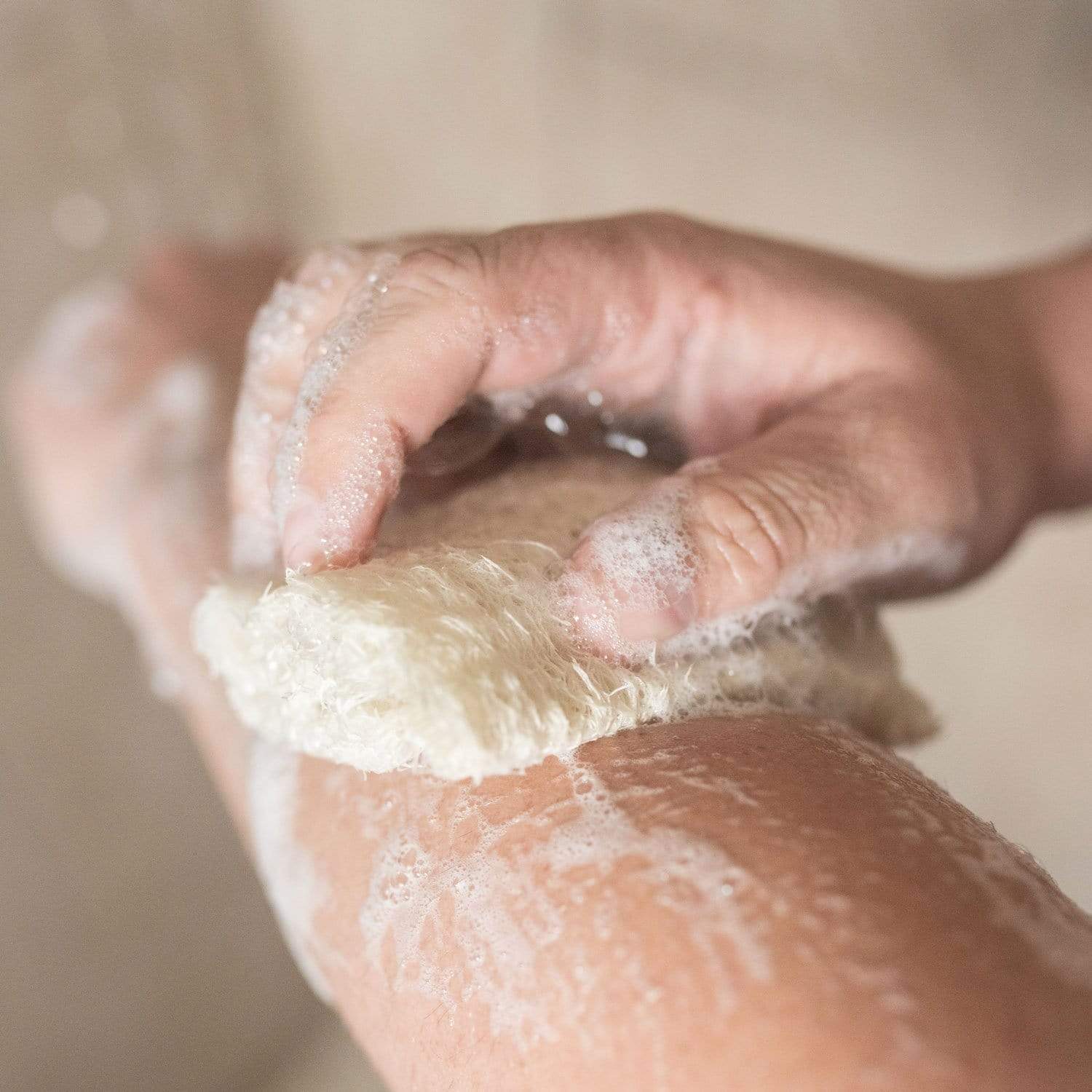 Loofah Sponge - Image 4